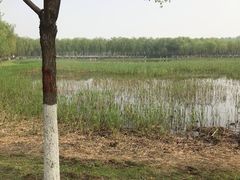 -东郊湿地公园