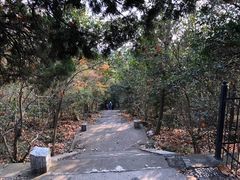 -灵谷景区