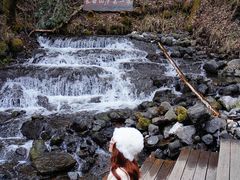 -峡谷浮石林景区
