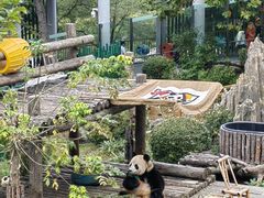 -大连森林动物园