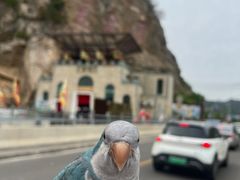 -黑龙潭风景区