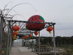 -小鱼草莓采摘园农家乐·小鱼餐厅
