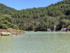 -广州白江湖森林公园