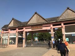 -上海都市菜园