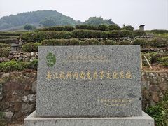 -龙井村