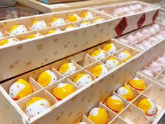 -猫的天空之城概念书店(北戴河蔚蓝海岸店)