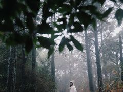 -黄龙溪古镇-古龙寺