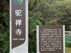 -鲁山国家森林公园