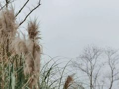 -上海山野camping·户外天幕烧烤·团建拓展营地