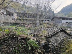 -MOJ coffee(瓯海泽雅水碓坑店)