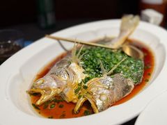 葱油生态黄鱼-锦府园·新台州菜(合生汇店)