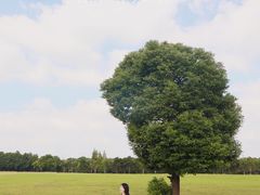 -山明水秀大饭店