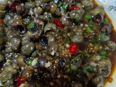 -呼吸森林·生态农庄农家乐私房菜