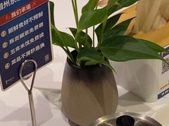 -眉州东坡(民族园店)