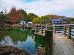 -白马涧龙池景区