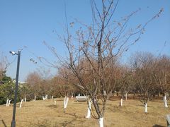 -河海大学(江宁校区)