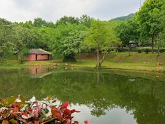 -合肥野生动物园