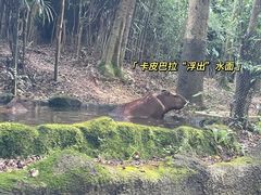 -河川生态园
