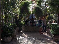 -The Grounds of Alexandria