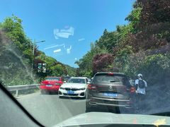 -长沙黑麋峰国家森林公园