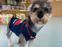 -萌兽医馆·犬猫专科·眼科中心·宠物医院(朝阳门分院)