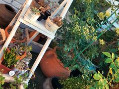 -一杯海(国际海水浴场店)