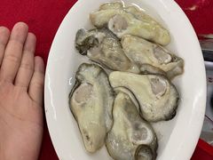 -花苑美食横琴生蚝火锅(拱北粤华路店)