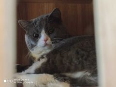 -网鱼电竞·棋牌(五一广场店)