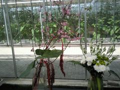 -上海鲜花港