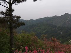 -木兰云雾山