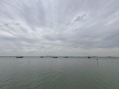 -贡湖湾湿地公园