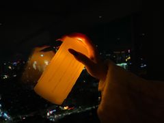 -Jungle Nat 高空餐厅