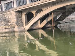 -团结湖公园