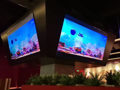 -404干式熟成牛排馆•聚会餐厅