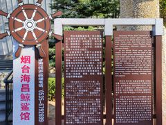 -烟台海昌鲸鲨海洋公园