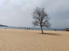 -青岛第一海水浴场