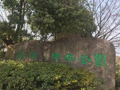 -蠡湖中央公园