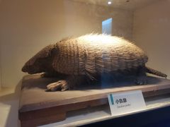 -国家自然博物馆