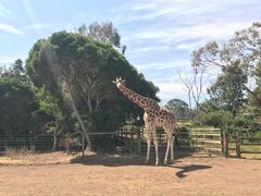 -威勒比开放式动物园