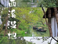 -西溪国家湿地公园