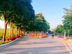 -广东花都湖国家湿地公园
