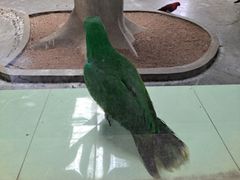 -石家庄市动物园