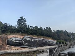 -三水森林公园