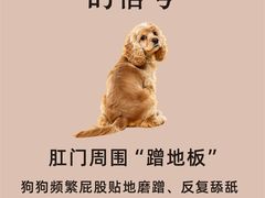 -瑞鹏宠物医院·骨外科·心肾科·肿瘤科(九亭店)