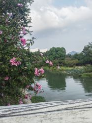 -玄武湖景区-情侣园游乐场