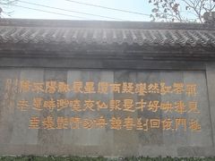 -桃花堤公园