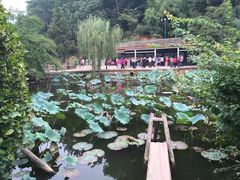 -韶山毛泽东同志故居