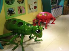 image-上海昆虫博物馆