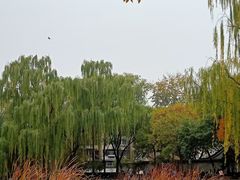-玲珑塔公园
