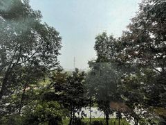 -菲鱼体育恒温游泳馆(中海名城店)
